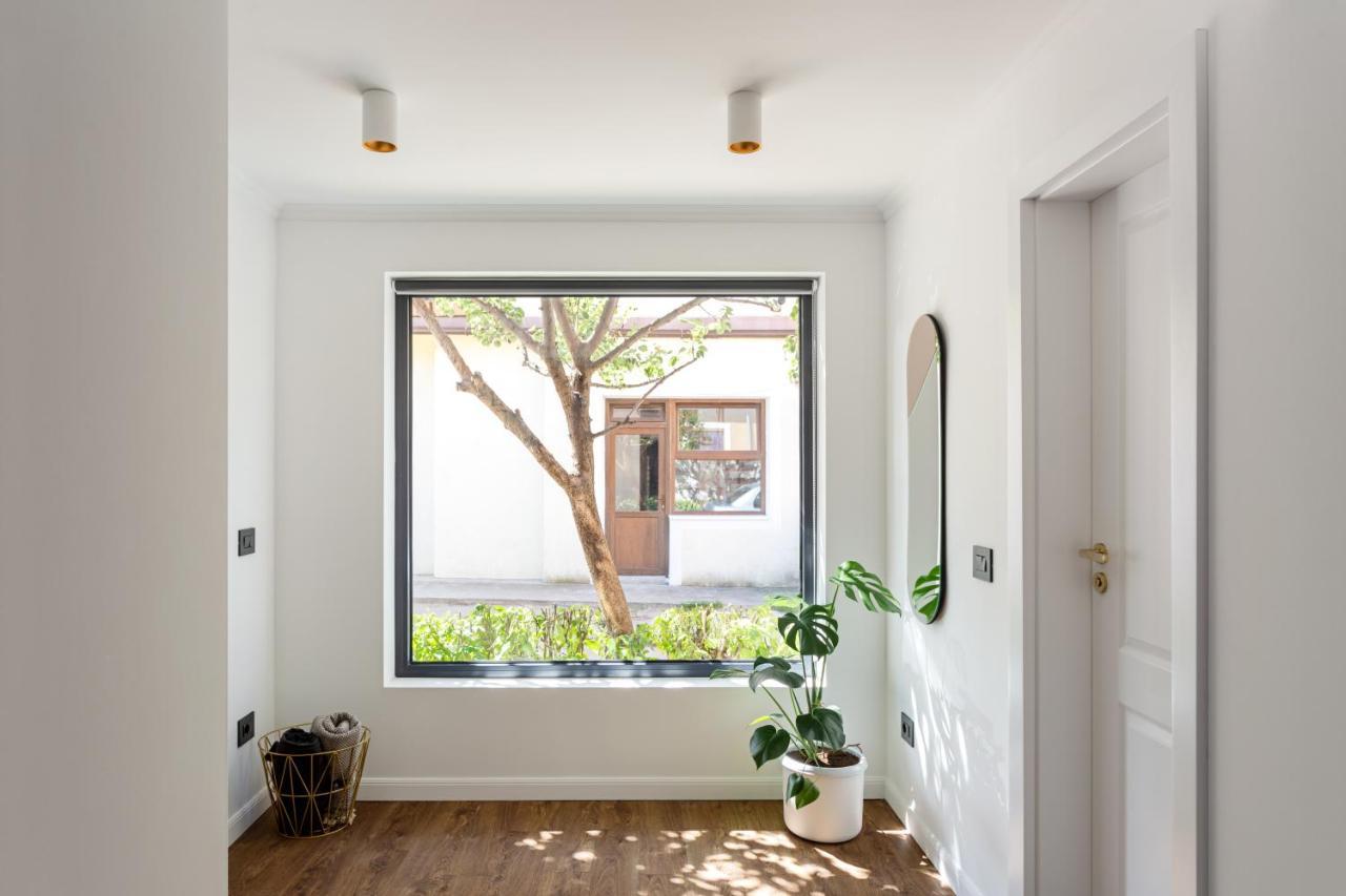 Designer Apartment In The City Center كلوج-نابوكا المظهر الخارجي الصورة